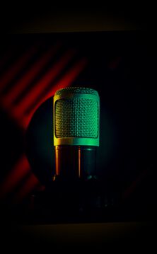 Voice Agent